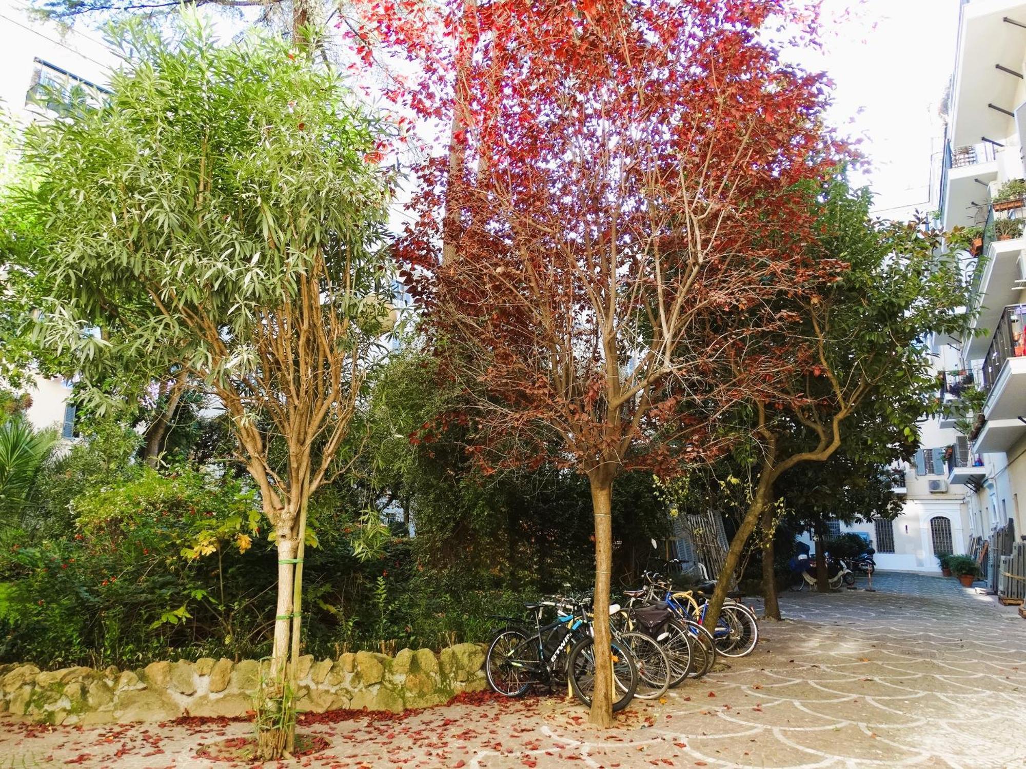 Apartamento Domus Dino Roma Exterior foto